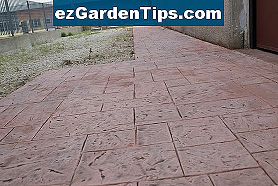 Come realizzare un marciapiede in cemento con stampi 🌱 Consigli  Giardinieri 