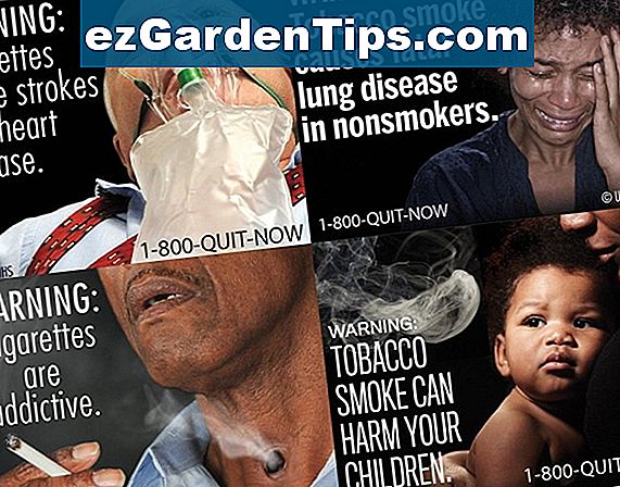 Vliv kouření cigaret na rostliny