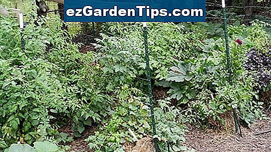 Jak pěstovat zeleninu v balících sena