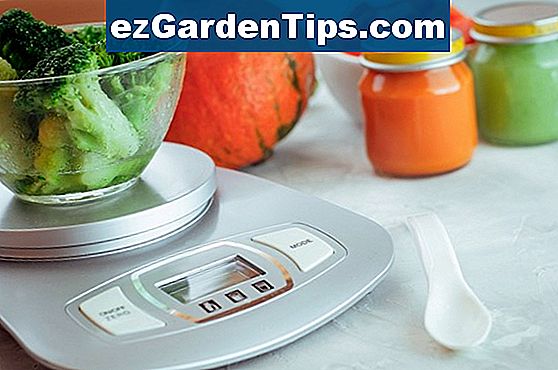 Kadus Darzenus Audzet Majas Tips Darznieki Lv Ezgardentips Com